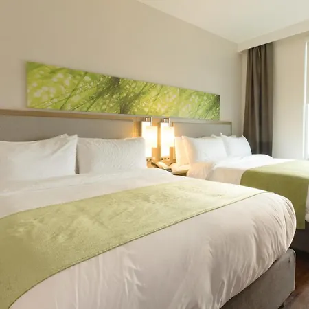 Wyndham Garden Fresh Meadows Flushing New York