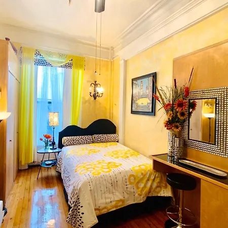 Hotel The International Cozy 3*