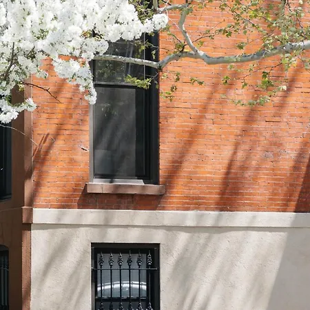 Apartment Stuyvesant Heights Townhouse