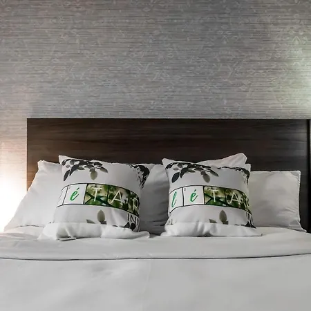 Hotel Letap Near Airtrain Jfk Airport New York