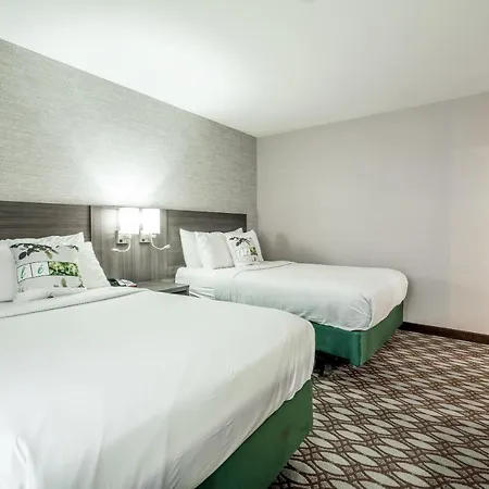 Letap Near Airtrain Jfk Airport New York