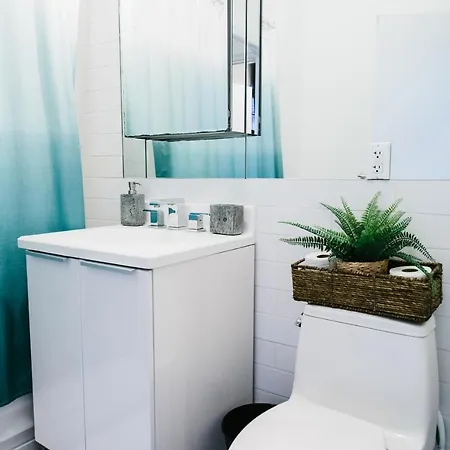 Apartment 3 Bedroom Williamsburg Duplex 15 Mins To Manhattan New York
