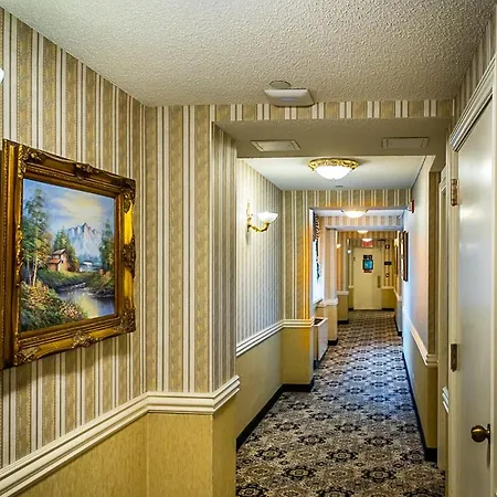 The Avenue Plaza 3*