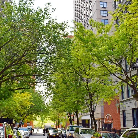Midtown Garden *