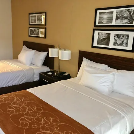 The Vue Brooklyn 2*
