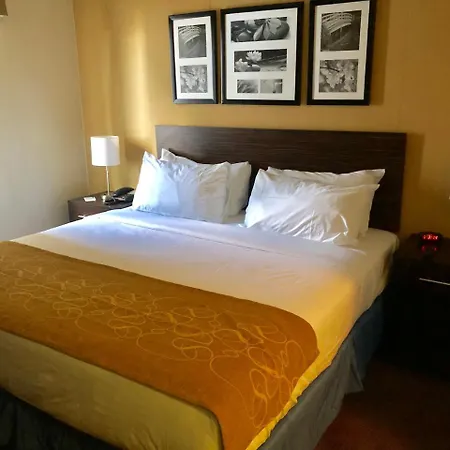 The Vue Brooklyn New York