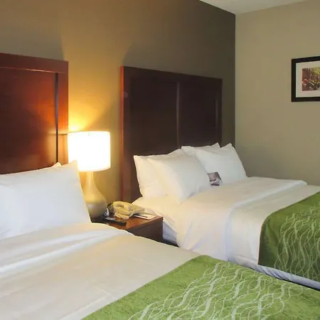 Comfort & Near Jfk Air Train Hotel