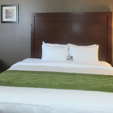 Hotel Comfort & Near Jfk Air Train 3*