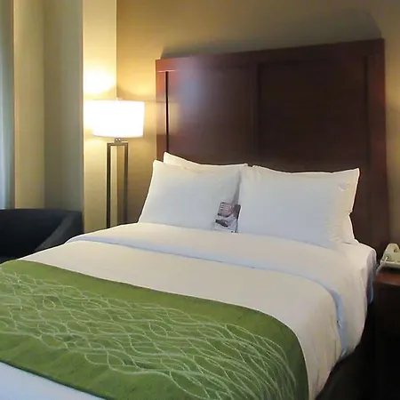 Hotel Comfort & Near Jfk Air Train