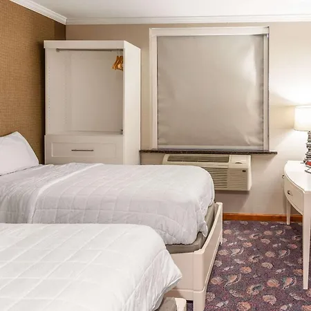 Umbrella Brooklyn - Newly Renovated 3* New York