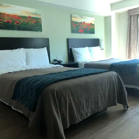 Comfort & - Kew Gardens Near La Guardia Airport Hotel 3*