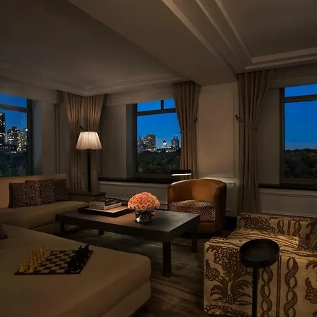 The Ritz-carlton New York, Park