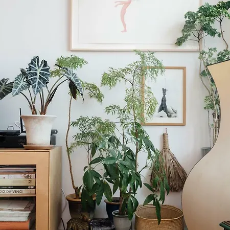 Ponkiesbergh View Apartment