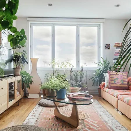 Apartment Ponkiesbergh View