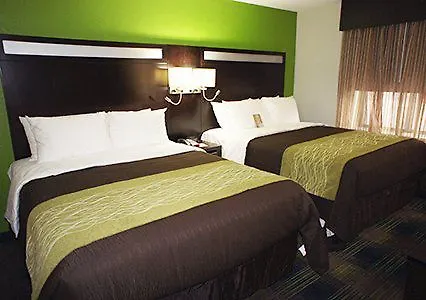 Comfort Near Barclays Center - Crown Heights Hotel