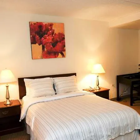 Metro Apartment