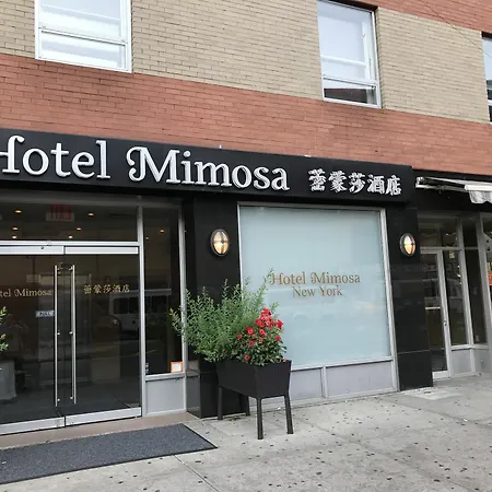 Hotel Mimosa
