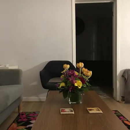 Lovely 2bedroom With Baclyard New York
