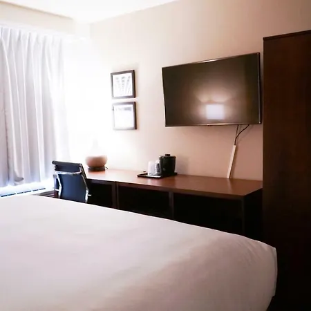 Mint Jfk Airport 3*