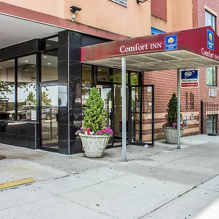 Comfort Brooklyn Hotel New York