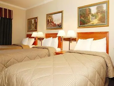 Comfort Chelsea New York