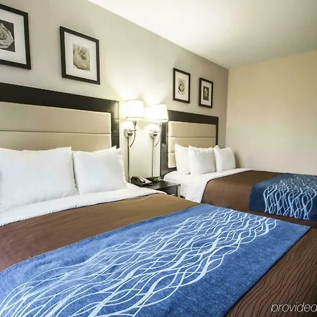 Hotel Comfort Times Square South Area New York