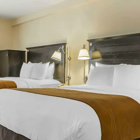 Comfort & Laguardia Airport Hotel New York