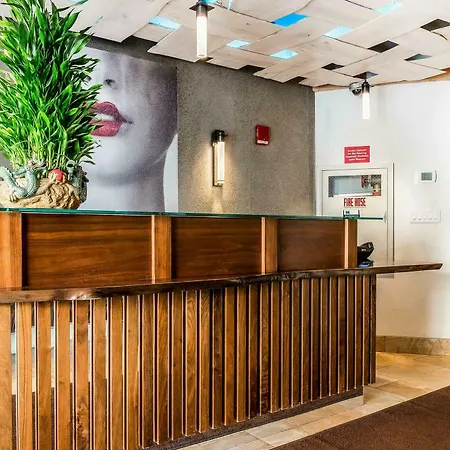 Solita Soho Hotel New York
