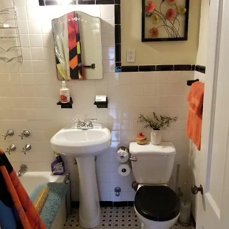 Cozy Fully Furnished Near Prospect Park & Public Transport Apartment *