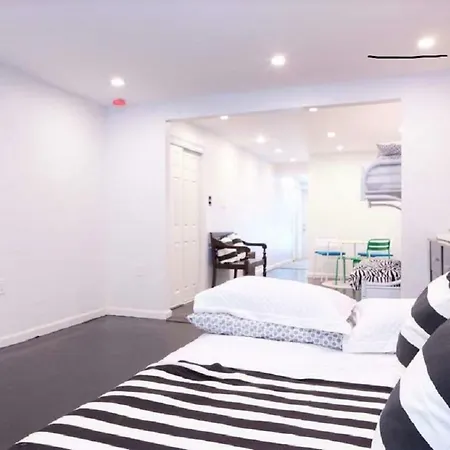 Bed Stuy Brooklyn Loft New York