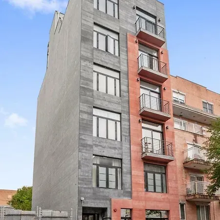 Bright/cozy 1 Bedroom In Heart Of Brooklyn! Apartment New York