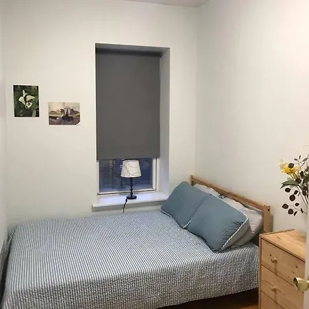 Spacious Brooklyn Flat Apartment