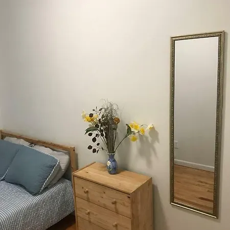 Spacious Brooklyn Flat New York