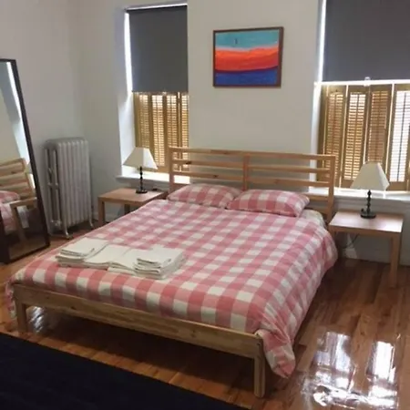 Spacious Brooklyn Flat Apartment New York