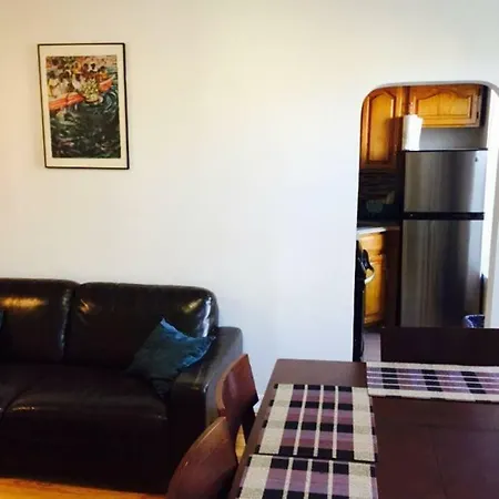 Apartment Spacious Brooklyn Flat New York