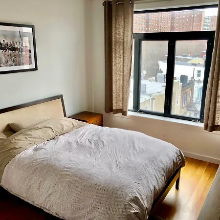 Bright/cozy 1 Bedroom In Heart Of Brooklyn!