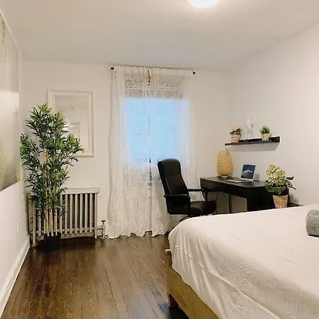 Apartment Superb Green Apt In Center Of Nyc New York