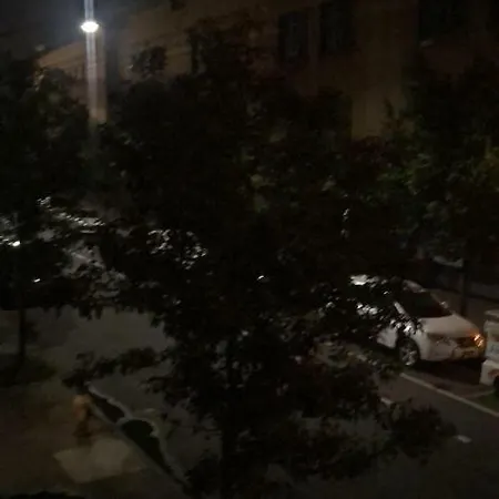 Apartment 255 Wilson Ave