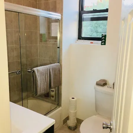 Totally Renovated Brownstone Apt. High Ceilings Apartment New York