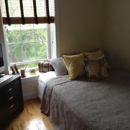 The Brooklyn Haven