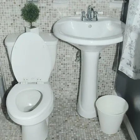 Plush Spacious 1 Bedroom Williamsburg Apartment New York