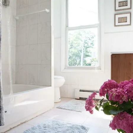 Beautiful 3br In A Peaceful Diverse Neighborhood Apartment New York