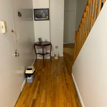 1 For Rent In Bushwick Brooklyn Homestay New York