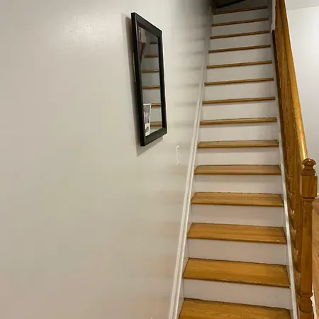 Homestay 1 For Rent In Bushwick Brooklyn New York