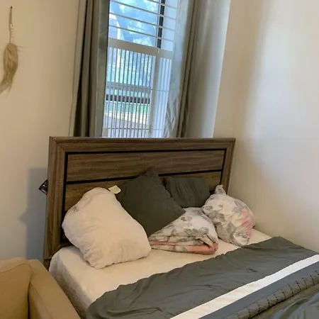 Homestay 1 For Rent In Bushwick Brooklyn New York