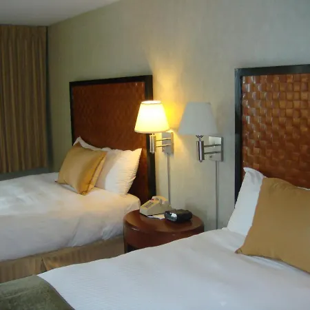 Hotel The Skyline 3*