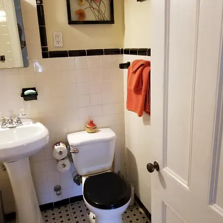 Cozy Fully Furnished Near Prospect Park & Public Transport *
