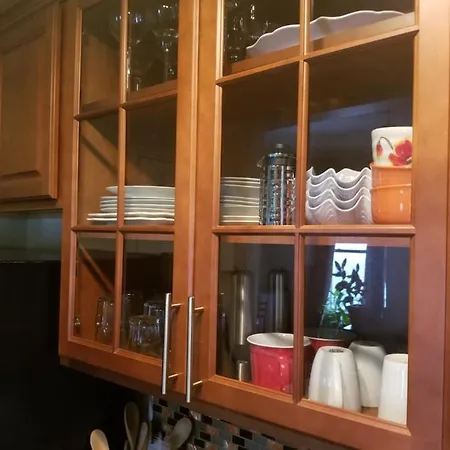 Cozy Fully Furnished Near Prospect Park & Public Transport New York