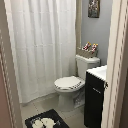 Spacious 2 Br. East Williamburg Apt Apartment