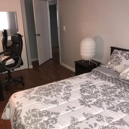 Spacious 2 Br. East Williamburg Apt Apartment *